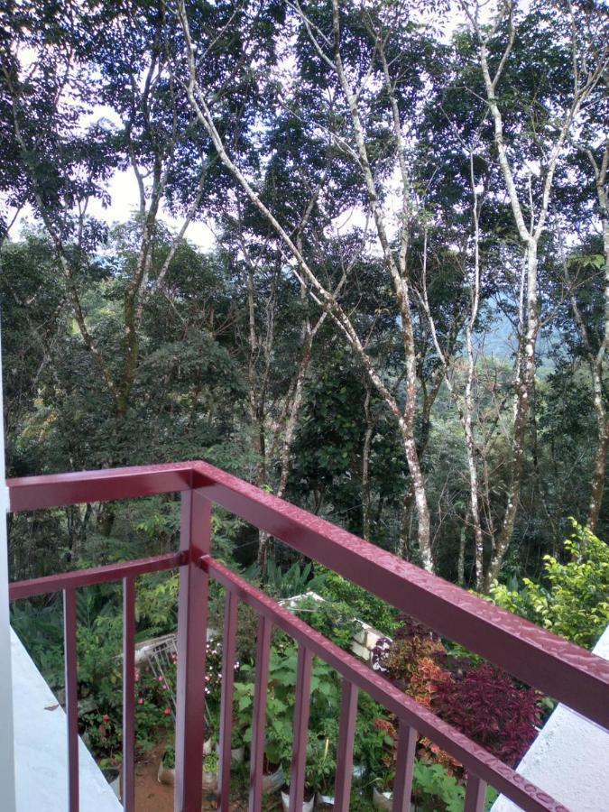 Winterhome Homestay Муннар Экстерьер фото